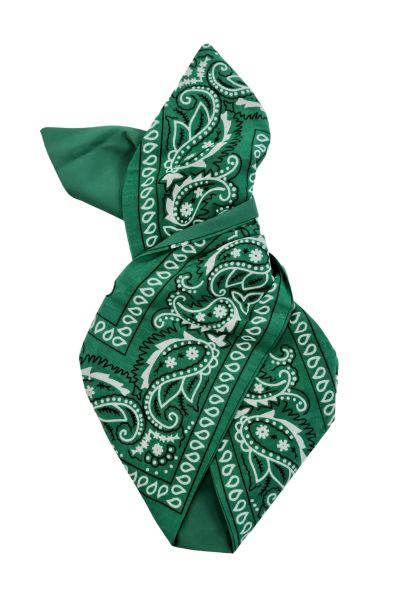 Hairband, BE BOP Paisley Green