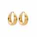 Earrings, HOOPS Gold