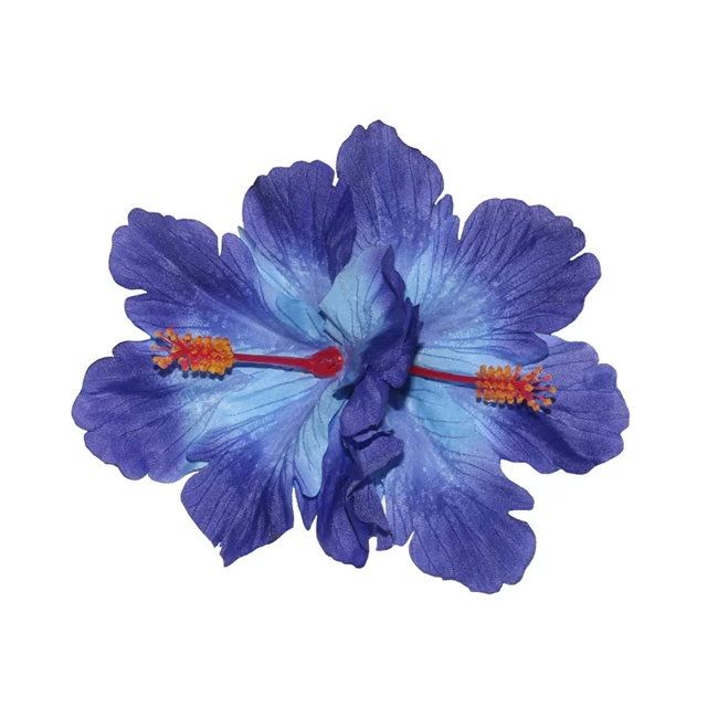 Hiuskoriste, DEBRA Hibiscus Double Blue